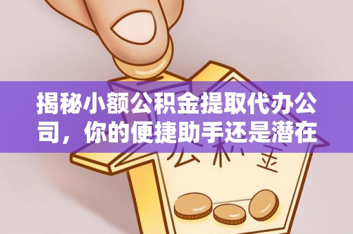 美兰揭秘小额公积金提取代办公司，你的便捷助手还是潜在风险？