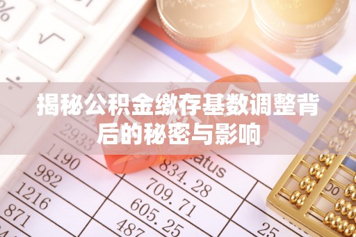 美兰揭秘公积金缴存基数调整背后的秘密与影响