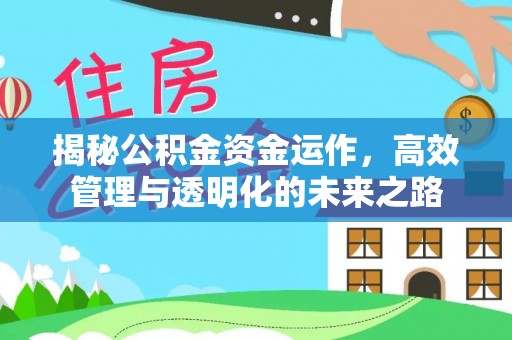 美兰揭秘公积金资金运作，高效管理与透明化的未来之路
