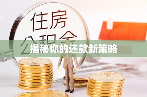 美兰揭秘你的还款新策略