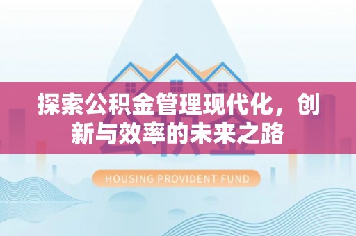 美兰探索公积金管理现代化，创新与效率的未来之路