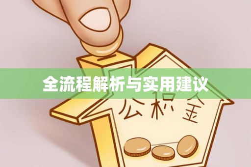 美兰全流程解析与实用建议