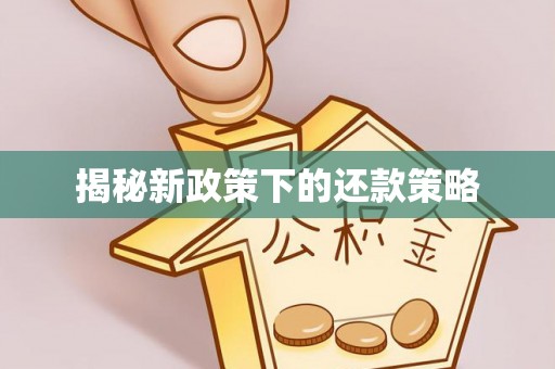 美兰揭秘新政策下的还款策略