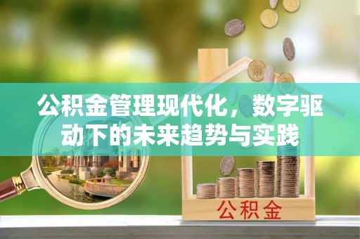 美兰公积金管理现代化，数字驱动下的未来趋势与实践