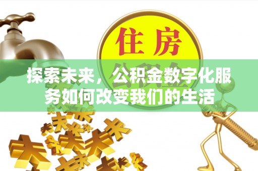 美兰探索未来，公积金数字化服务如何改变我们的生活