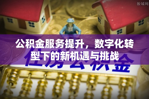 美兰公积金服务提升，数字化转型下的新机遇与挑战