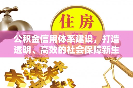 美兰公积金信用体系建设，打造透明、高效的社会保障新生态