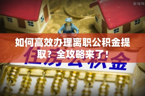美兰如何高效办理离职公积金提取？全攻略来了！