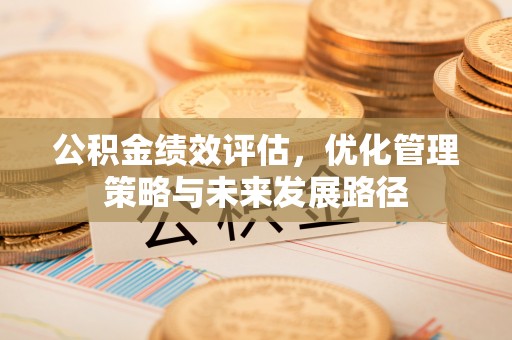 美兰公积金绩效评估，优化管理策略与未来发展路径