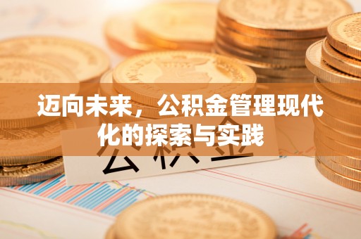 美兰迈向未来，公积金管理现代化的探索与实践