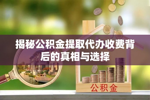 美兰揭秘公积金提取代办收费背后的真相与选择