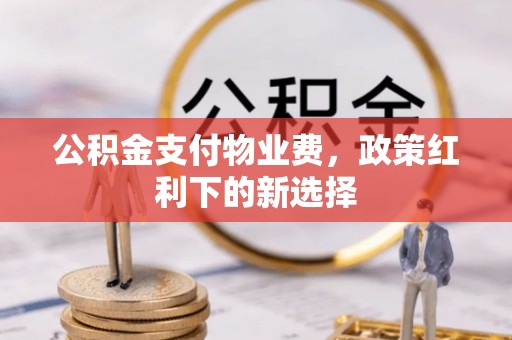美兰公积金支付物业费，政策红利下的新选择