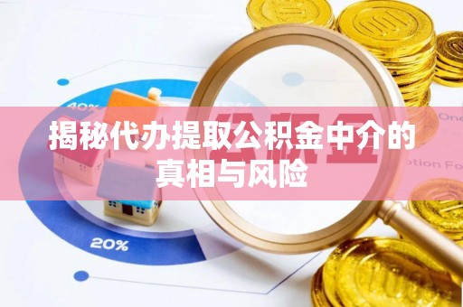 美兰揭秘代办提取公积金中介的真相与风险