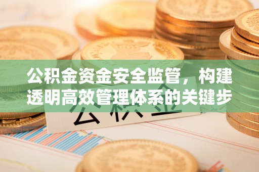 美兰公积金资金安全监管，构建透明高效管理体系的关键步骤