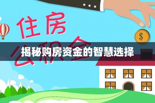 美兰揭秘购房资金的智慧选择