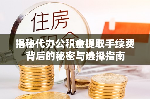美兰揭秘代办公积金提取手续费背后的秘密与选择指南