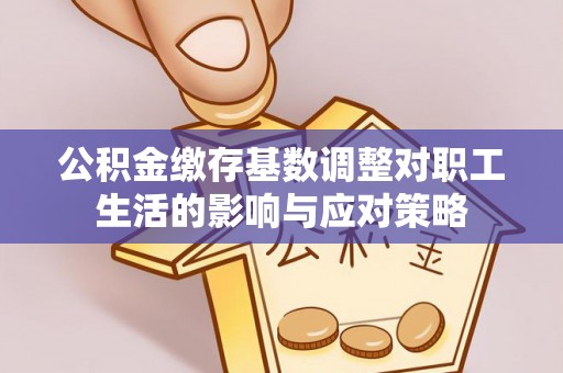 美兰公积金缴存基数调整对职工生活的影响与应对策略