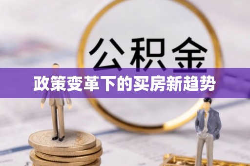 美兰政策变革下的买房新趋势
