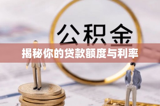 美兰揭秘你的贷款额度与利率