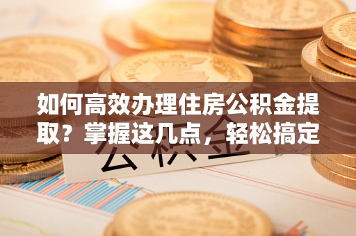 美兰如何高效办理住房公积金提取？掌握这几点，轻松搞定！
