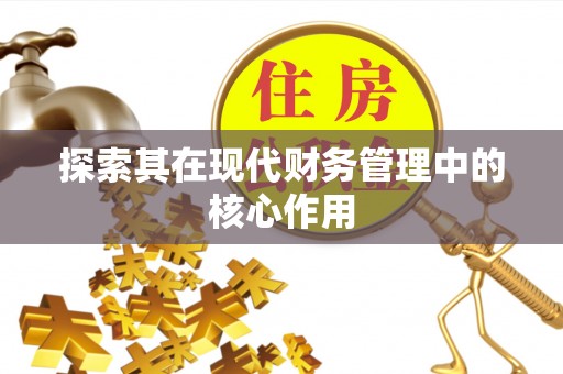 美兰探索其在现代财务管理中的核心作用