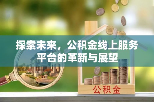 美兰探索未来，公积金线上服务平台的革新与展望