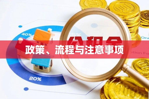 美兰政策、流程与注意事项