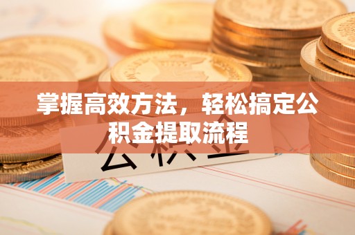 美兰掌握高效方法，轻松搞定公积金提取流程