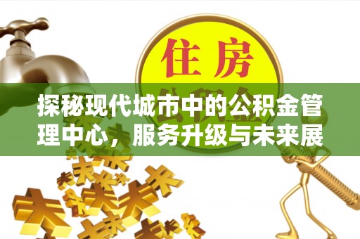 美兰探秘现代城市中的公积金管理中心，服务升级与未来展望
