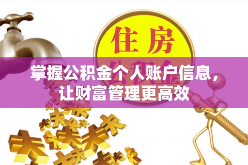 美兰掌握公积金个人账户信息，让财富管理更高效