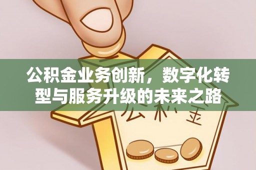 美兰公积金业务创新，数字化转型与服务升级的未来之路