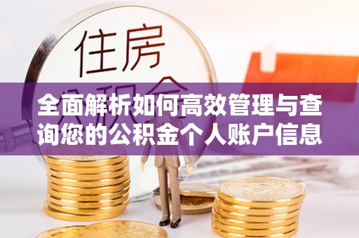 美兰全面解析如何高效管理与查询您的公积金个人账户信息