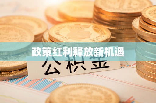 美兰政策红利释放新机遇