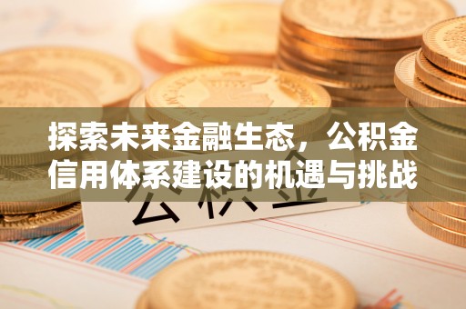 美兰探索未来金融生态，公积金信用体系建设的机遇与挑战