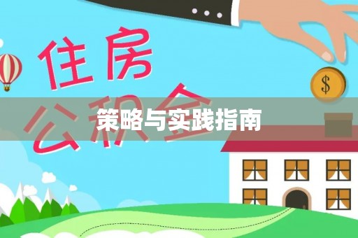 美兰策略与实践指南
