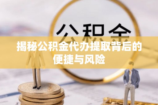 美兰揭秘公积金代办提取背后的便捷与风险