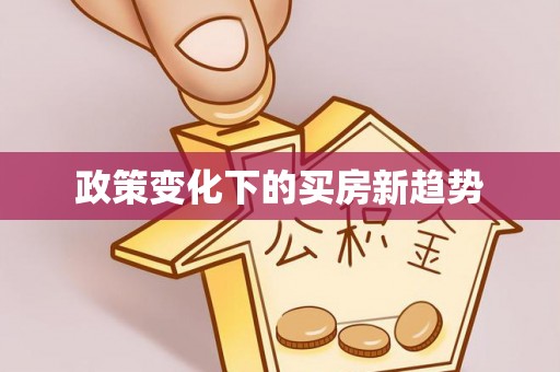 美兰政策变化下的买房新趋势