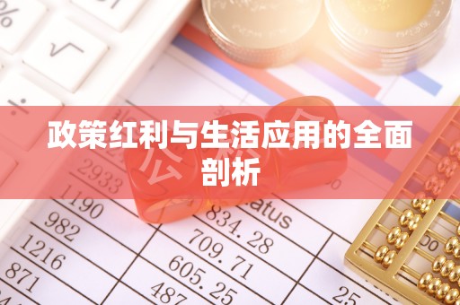 美兰政策红利与生活应用的全面剖析