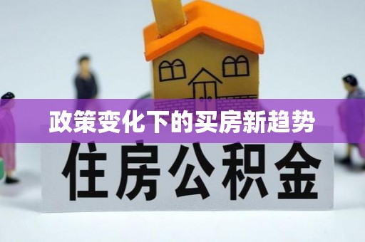 美兰政策变化下的买房新趋势