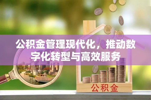 美兰公积金管理现代化，推动数字化转型与高效服务