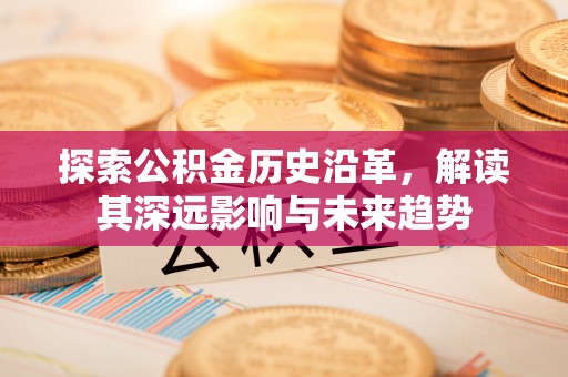 美兰探索公积金历史沿革，解读其深远影响与未来趋势