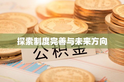 美兰探索制度完善与未来方向