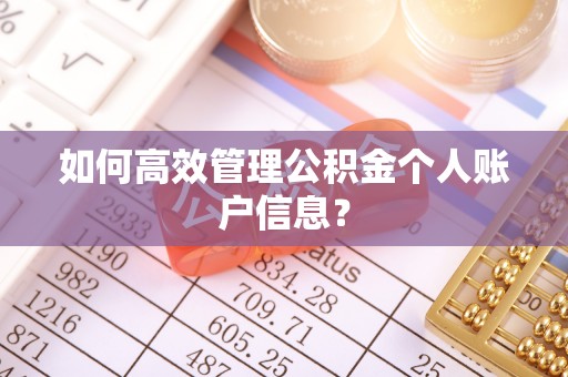 美兰如何高效管理公积金个人账户信息？