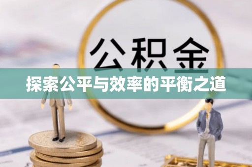 美兰探索公平与效率的平衡之道