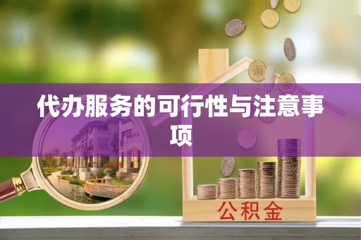 美兰代办服务的可行性与注意事项