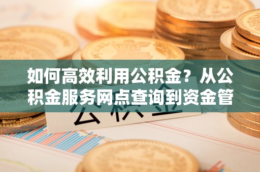 美兰如何高效利用公积金？从公积金服务网点查询到资金管理全攻略