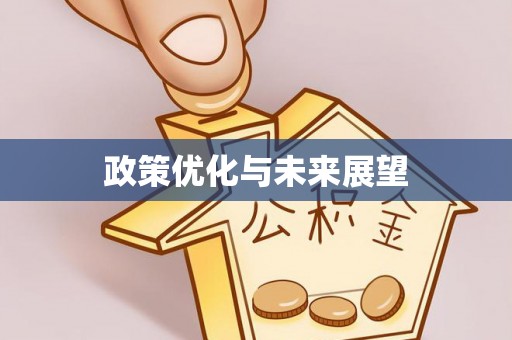 美兰政策优化与未来展望