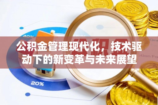 美兰公积金管理现代化，技术驱动下的新变革与未来展望