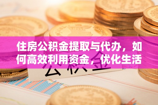 美兰住房公积金提取与代办，如何高效利用资金，优化生活品质