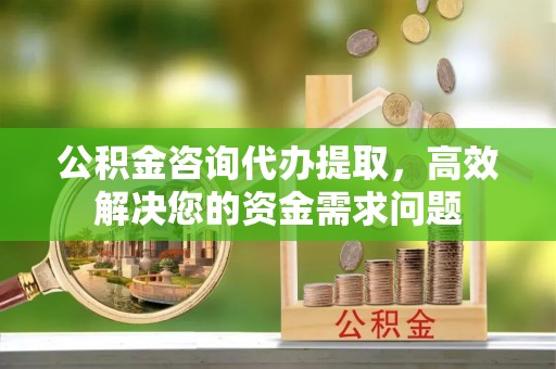 美兰公积金咨询代办提取，高效解决您的资金需求问题